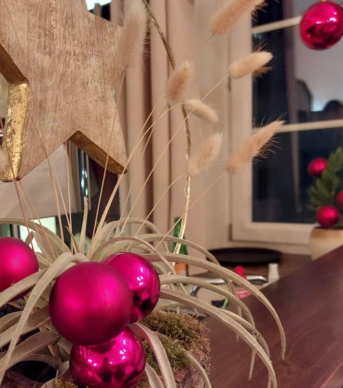 Fotomotiv für den Weihnachtsauftritt des Gesangverein-Frohsinn bei den Siebenbürger Sachsen